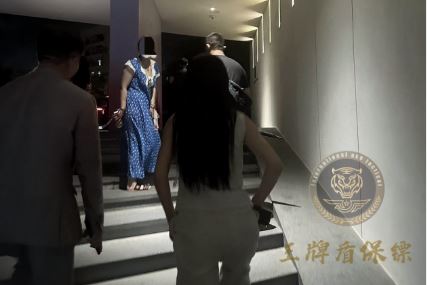 网红遭遇网暴威胁，雇佣王牌盾保镖护安全